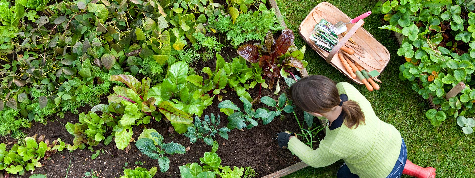 Gardening