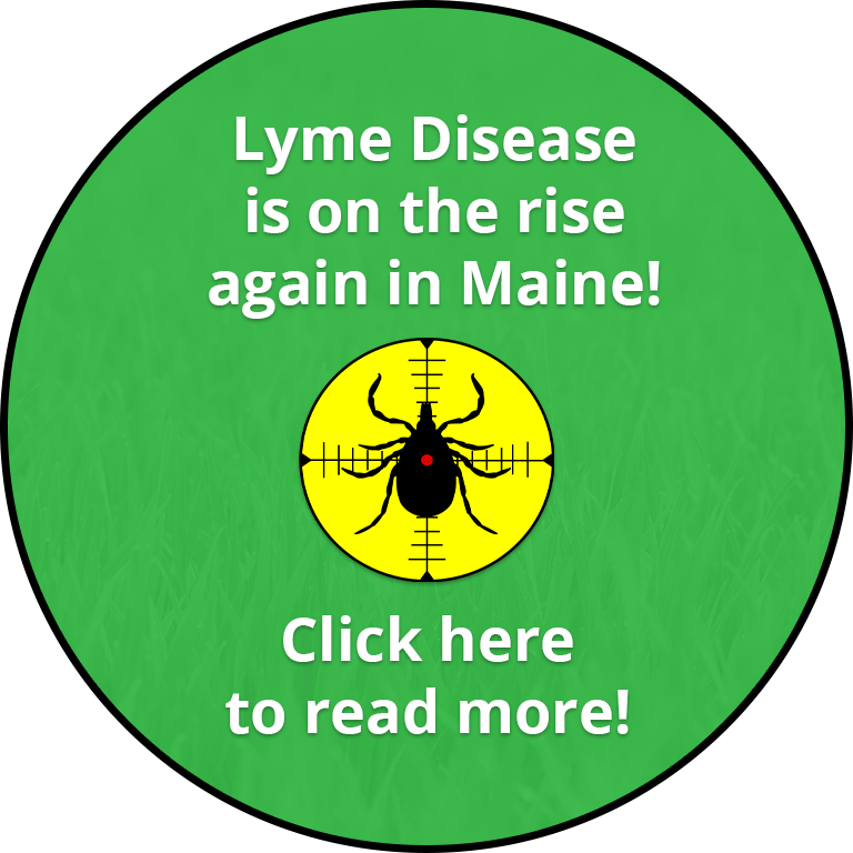 Lyme Disease is on the rise in Maine!  Click here to read more!